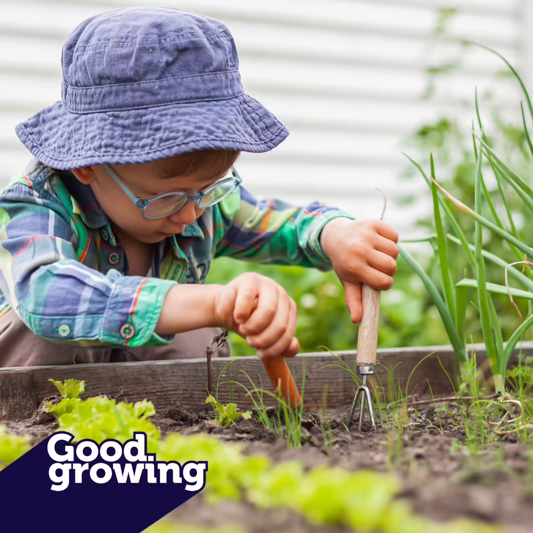 boy planting in garden