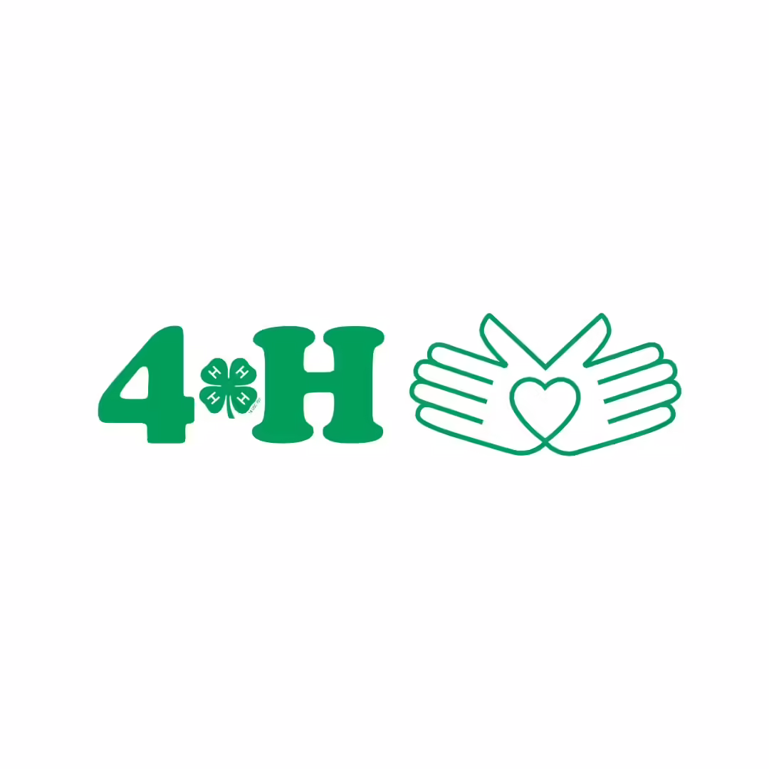 4-H with four leaf clover logo and two hands connected by a heart