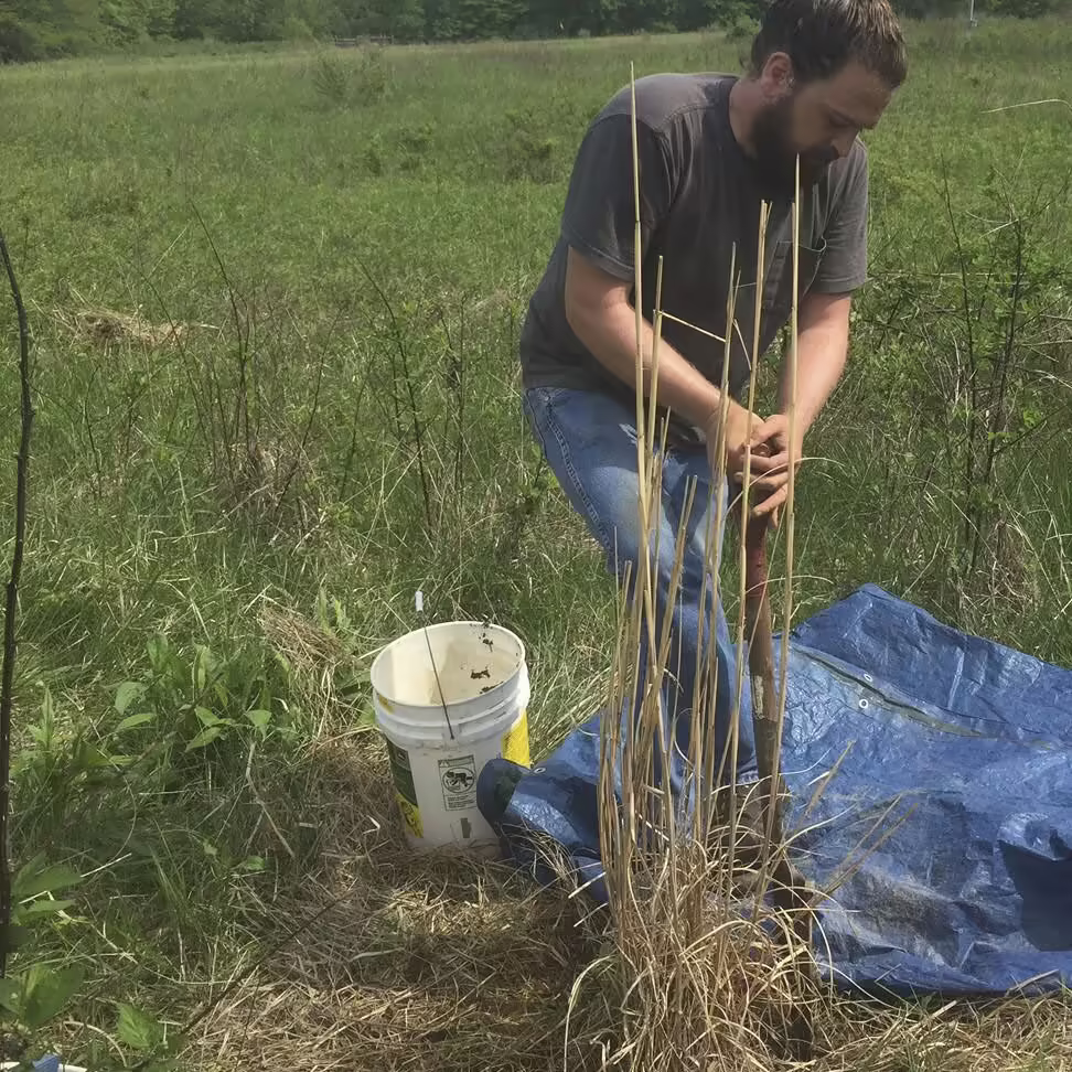 man with shovel digging up plant in field