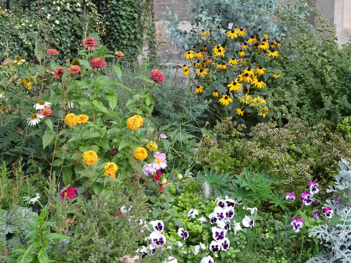 sensory garden includes variety of plants and flowers