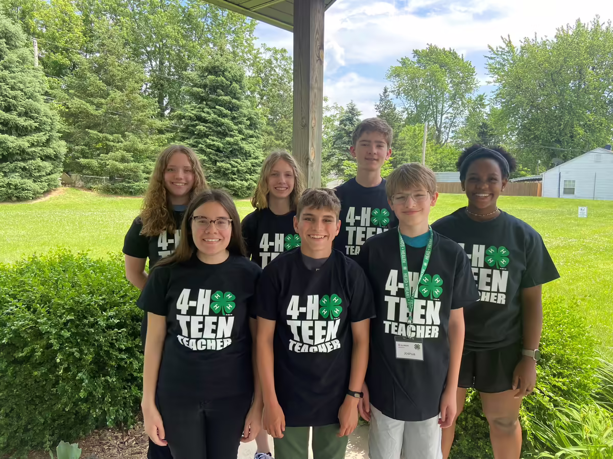 teen teachers