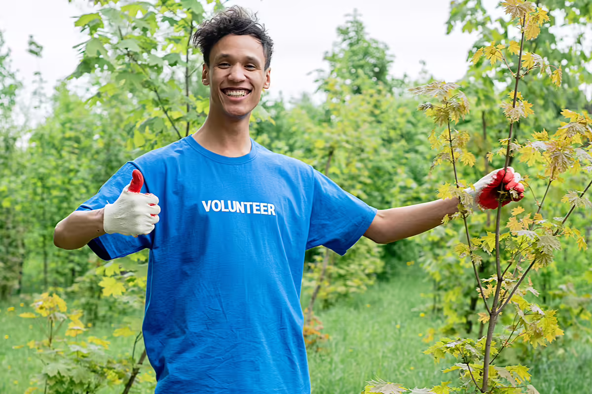 volunteer planting tree