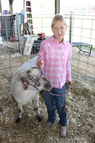 girl in pink shirt with white sheep