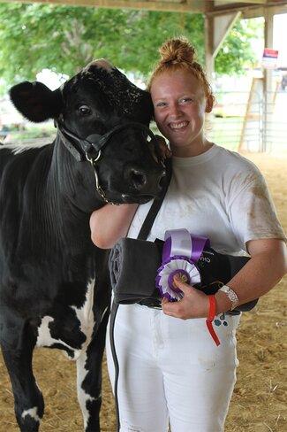 Black cow with girl in white clothes