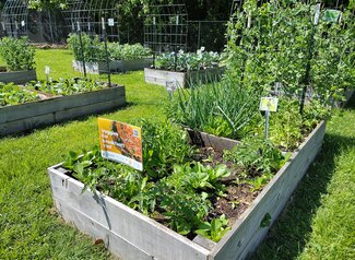 raised garden beds at Plant a Row, Watch COPE Grow with Eat. Move. Save signage.