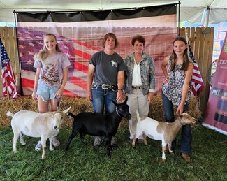 Makenzie Post, Betsy Muehleip, Judge Kathy Carr, and Annalee Anderson with their winning myotonic goats