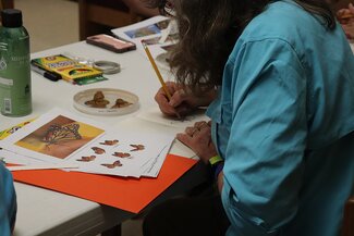 A woman draws butterflies into a nature journal