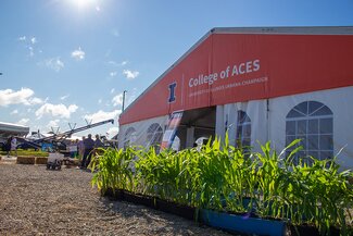 short corn stalks in front of a large tent that says "College of ACES"