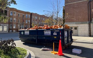 A blue dumpster filled to over the brim with pumpkins