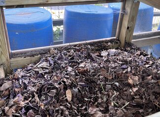 Pile of dried leaves in a compost bin. 
