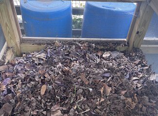 Pile of dried leaves in a compost bin. 