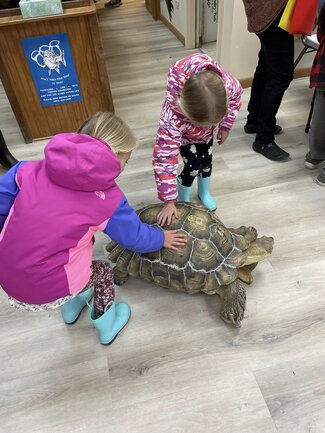 Youth petting a tortoise