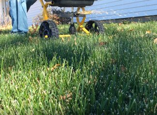 View from the ground of a person pushing a spreader, fertilizing the lawn.