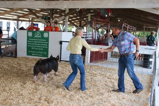 teenage girl shaking the judge's hand at the swine show