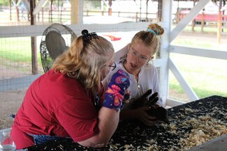 exhibitor talking with the rabbit judge about her project