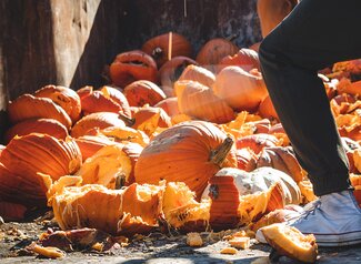 A person smashing a decaying pumpkin in a dumpster at an event.