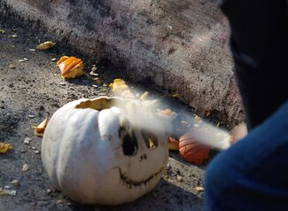 A person swinging a baseball bat in a dumpster to smash a decaying carved pumpkin.