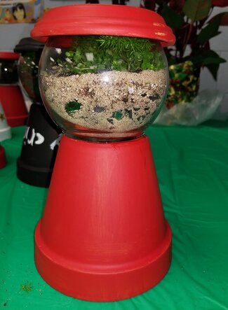 The full view of a plant terrarium filled with plants but designed to look like a red candy jar. 