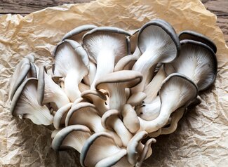 oyster mushrooms