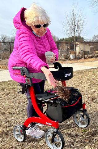 Joan Miller in a walker spreading prairie seeds