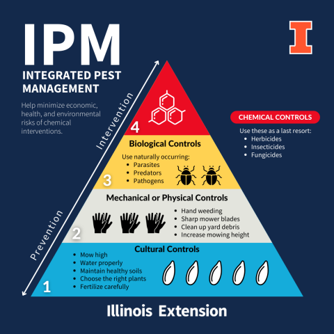integrated pest management plan