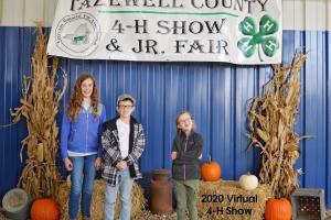 three siblings standing in front of sign that reads Tazewell County 4-H Show and Jr. Fair