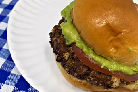 burger on plate