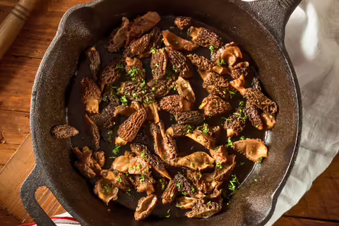 Mushroom Medley