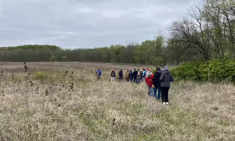 People in a field