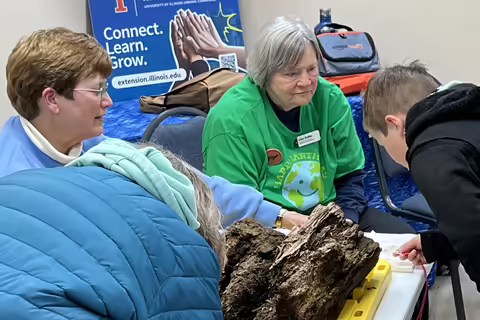 People look at some wood on a table