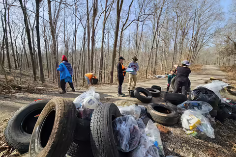 People collect trash from the woods on the side of the road