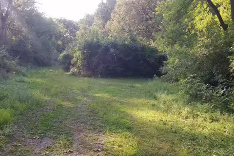 A photo of a nature area