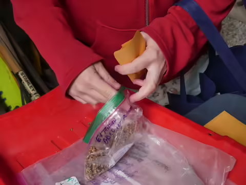 Someone puts seeds into a plastic bag