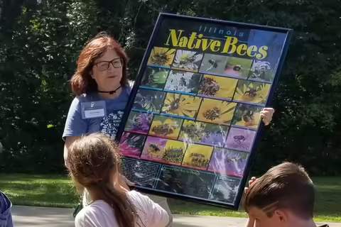 A woman holds a poster for children that says "Illinois native bees"