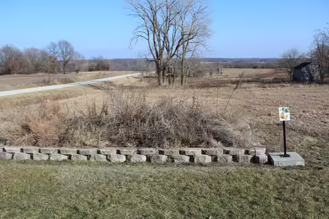 A native plant garden