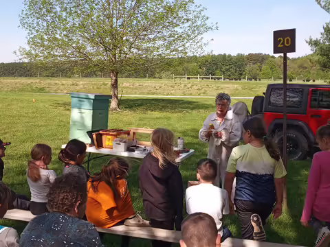 People gather outside for a bee demonstration