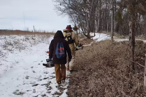 People walk in nature on a snowy day