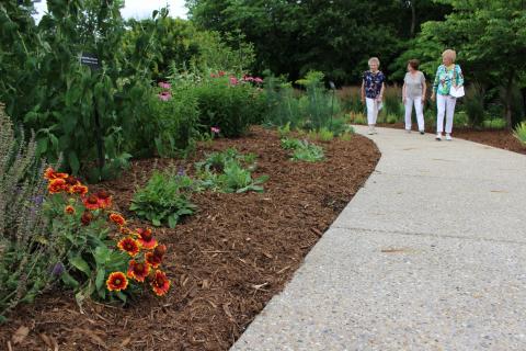 Three senior women walk down a paved path bordering a mulched garden bed with plants and flowers.