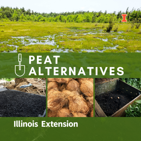 Use composted wood fibers or biochar, coconut coir, and composted yard waste as peat substitute