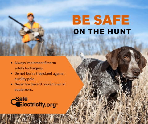 Safe Electricity graphic about hunting safety