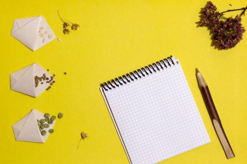 Yellow background with a white notebook and 3 seed packets.
