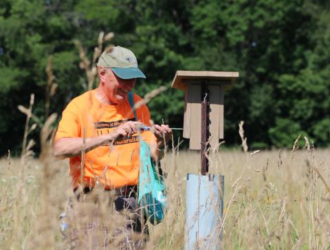 Master Naturalist volunteer opening blue bird box in a prairie. 