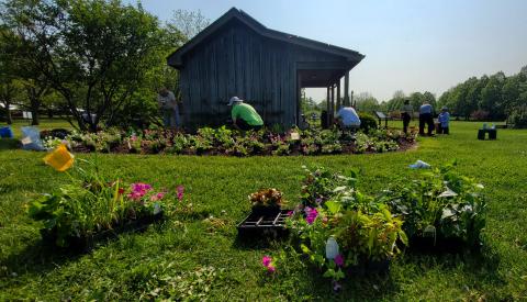 Master Gardeners work at the Idea Garden on UIUC Campus