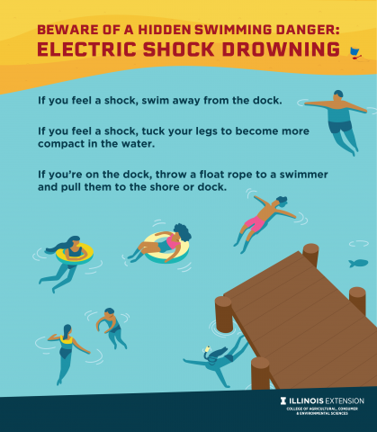 graphic of youth swimming near dock