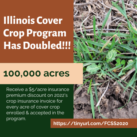 Incentives Added For Cover Crop Planting | Crops | Illinois Extension ...