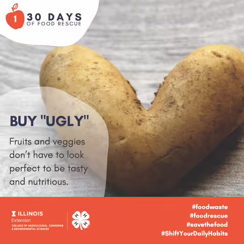 photo of reducing food waste