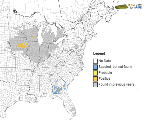 full map of tar spot incidence and history by county across the USA