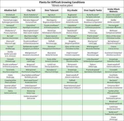 Chart listing plant varieties for difficult growing conditions