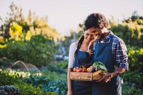 Two people looking at fresh picked vegetables in a garden setting. 