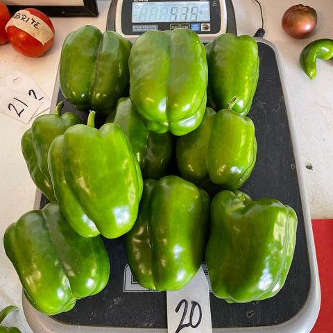 green peppers on scale